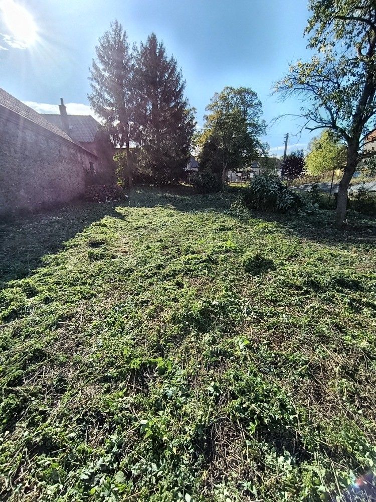 Prodej pozemku, Hluchov – náhled fotky 11