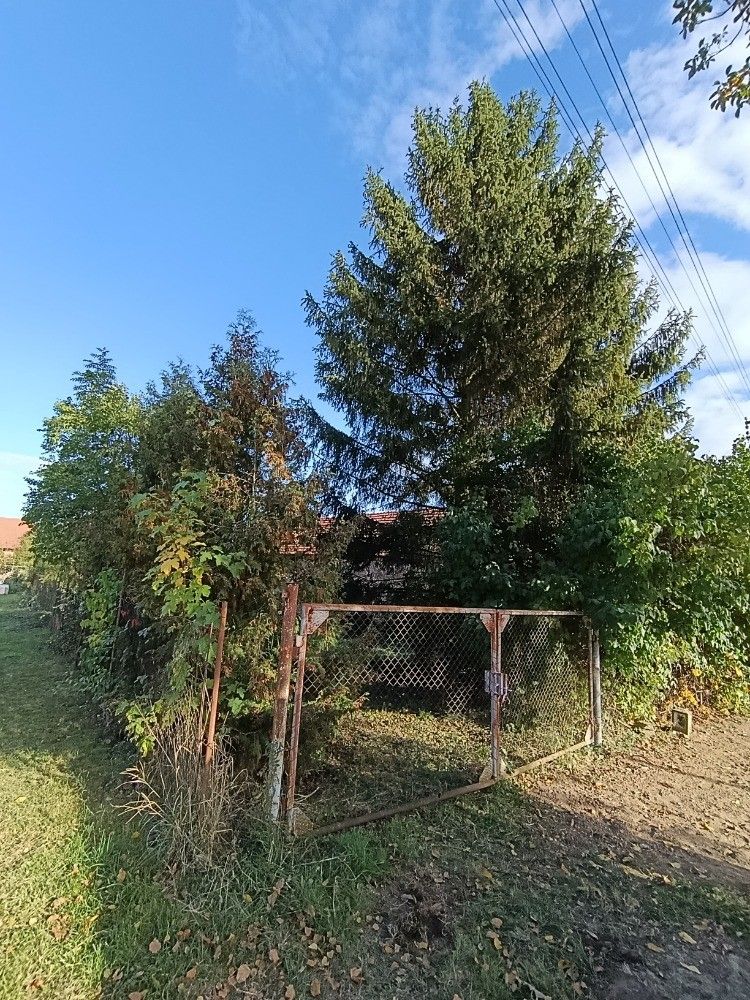 Prodej pozemku, Hluchov – náhled fotky 13