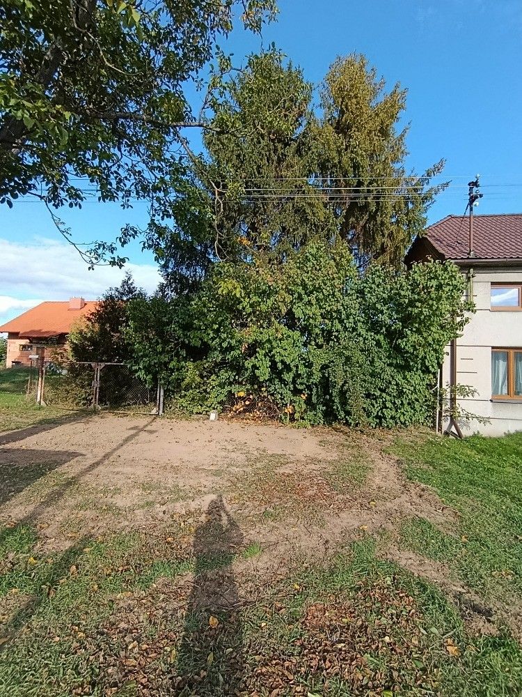 Prodej pozemku, Hluchov – náhled fotky 14