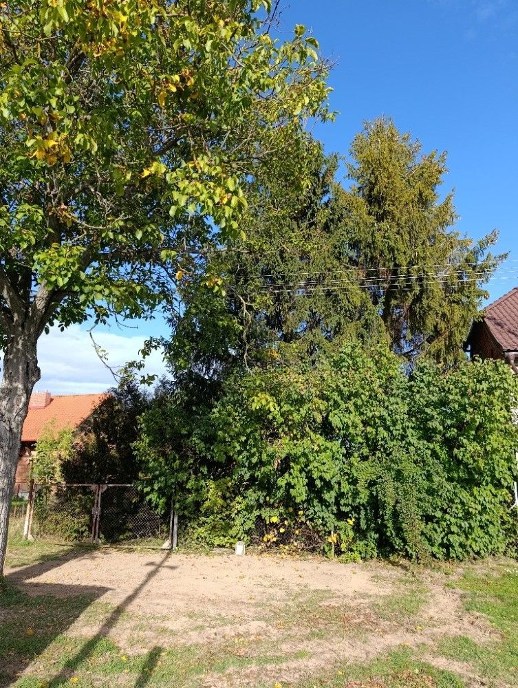 Prodej pozemku, Hluchov – náhled fotky 16