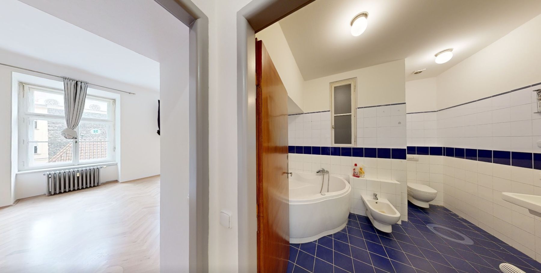Pronájem bytu 5+kk 155 m², Praha – náhled fotky 5