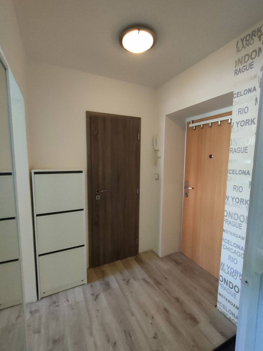 Pronájem bytu 1+1 30 m², Stochov – náhled fotky 2