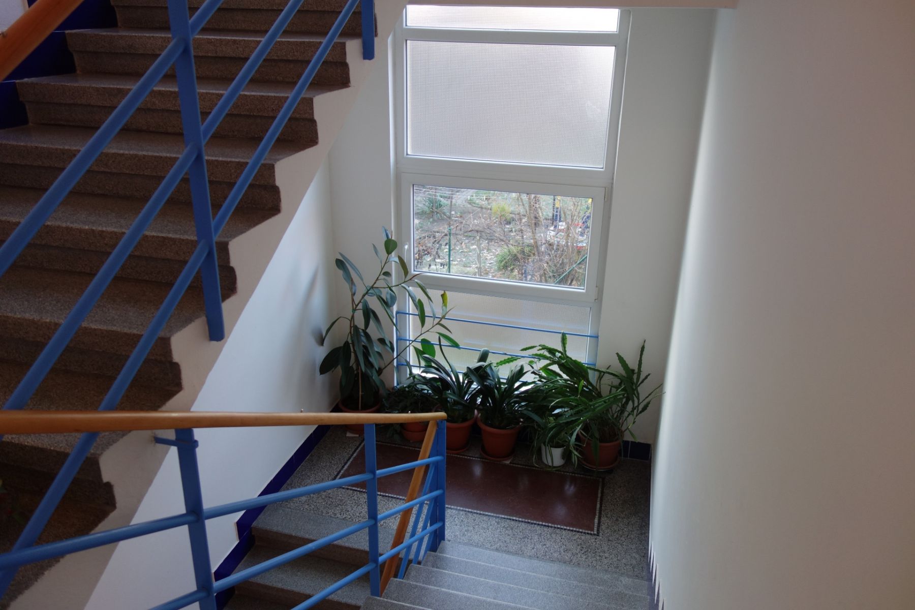 Pronájem bytu 1+kk 33 m², Praha – náhled fotky 2