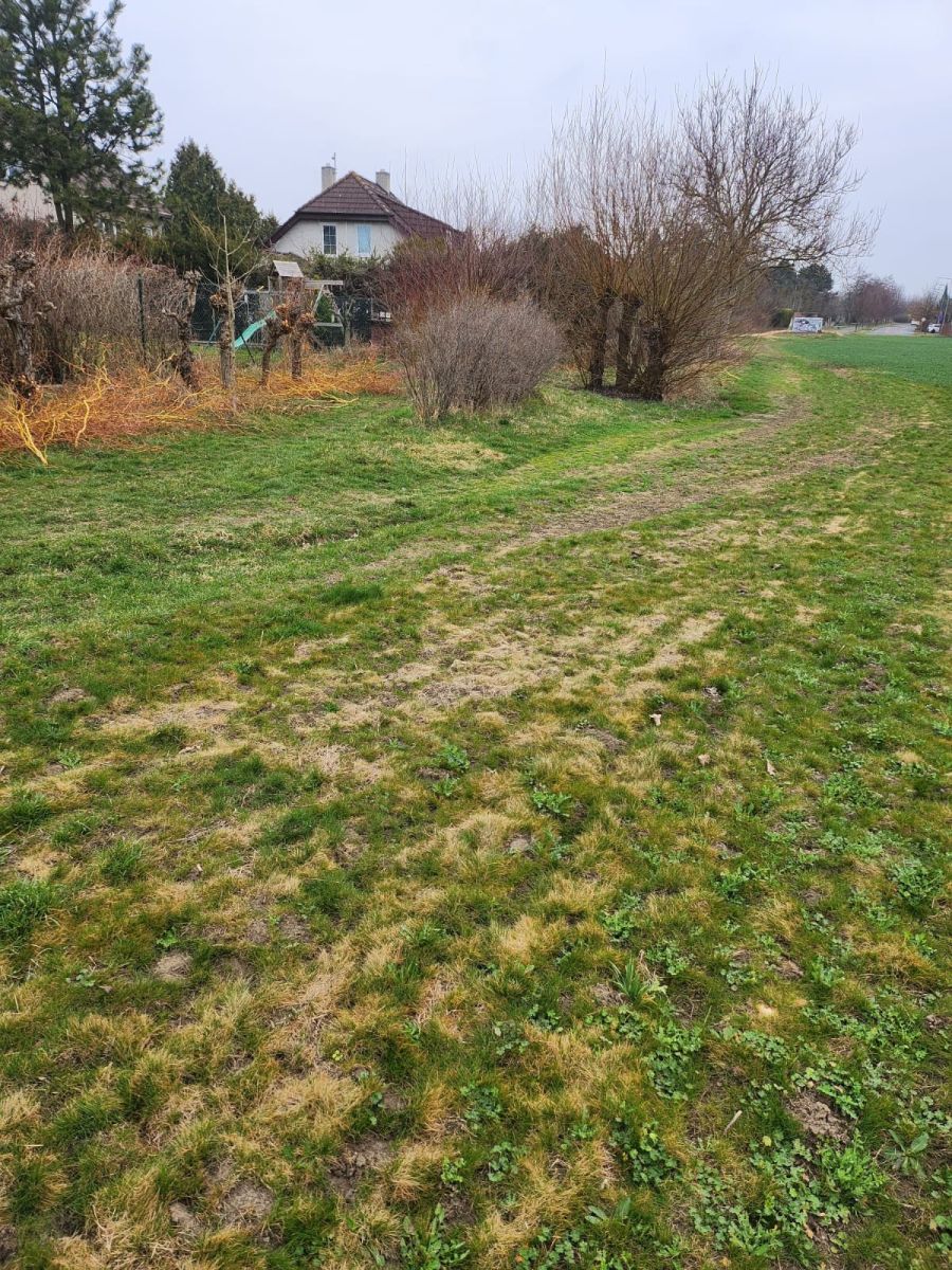 Prodej pozemku, Zeleneč – náhled fotky 4