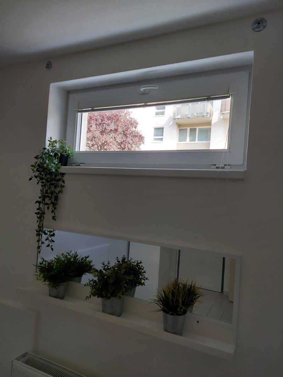 Pronájem bytu 1+kk 15 m², Praha – náhled fotky 3