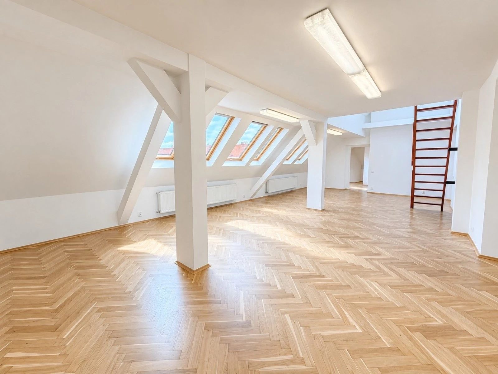 Pronájem komerčního prostoru 162 m², Praha – náhled fotky 10