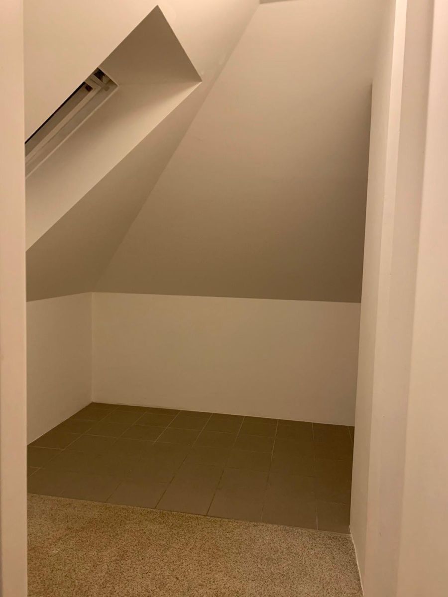 Pronájem bytu 2+1 99 m², Praha – náhled fotky 10