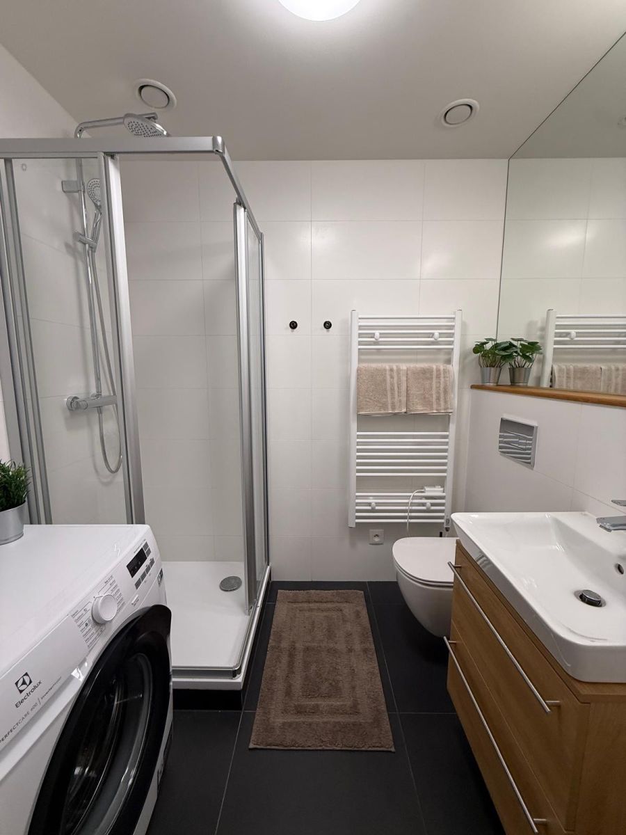 Pronájem bytu 1+kk 28 m², Praha – náhled fotky 11