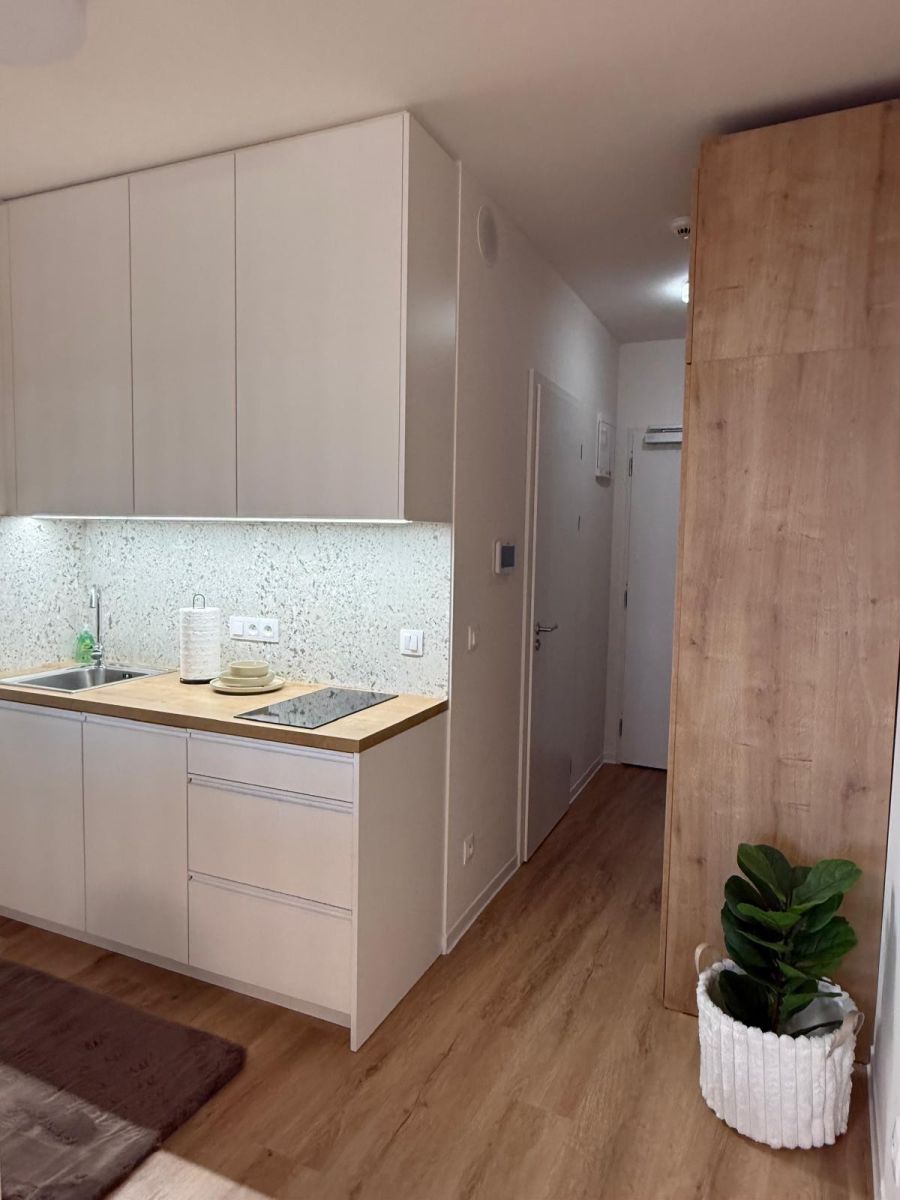 Pronájem bytu 1+kk 28 m², Praha – náhled fotky 16