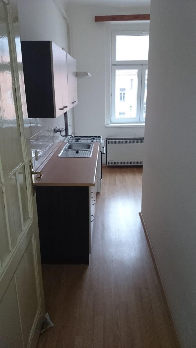 Pronájem bytu 1+1 35 m²