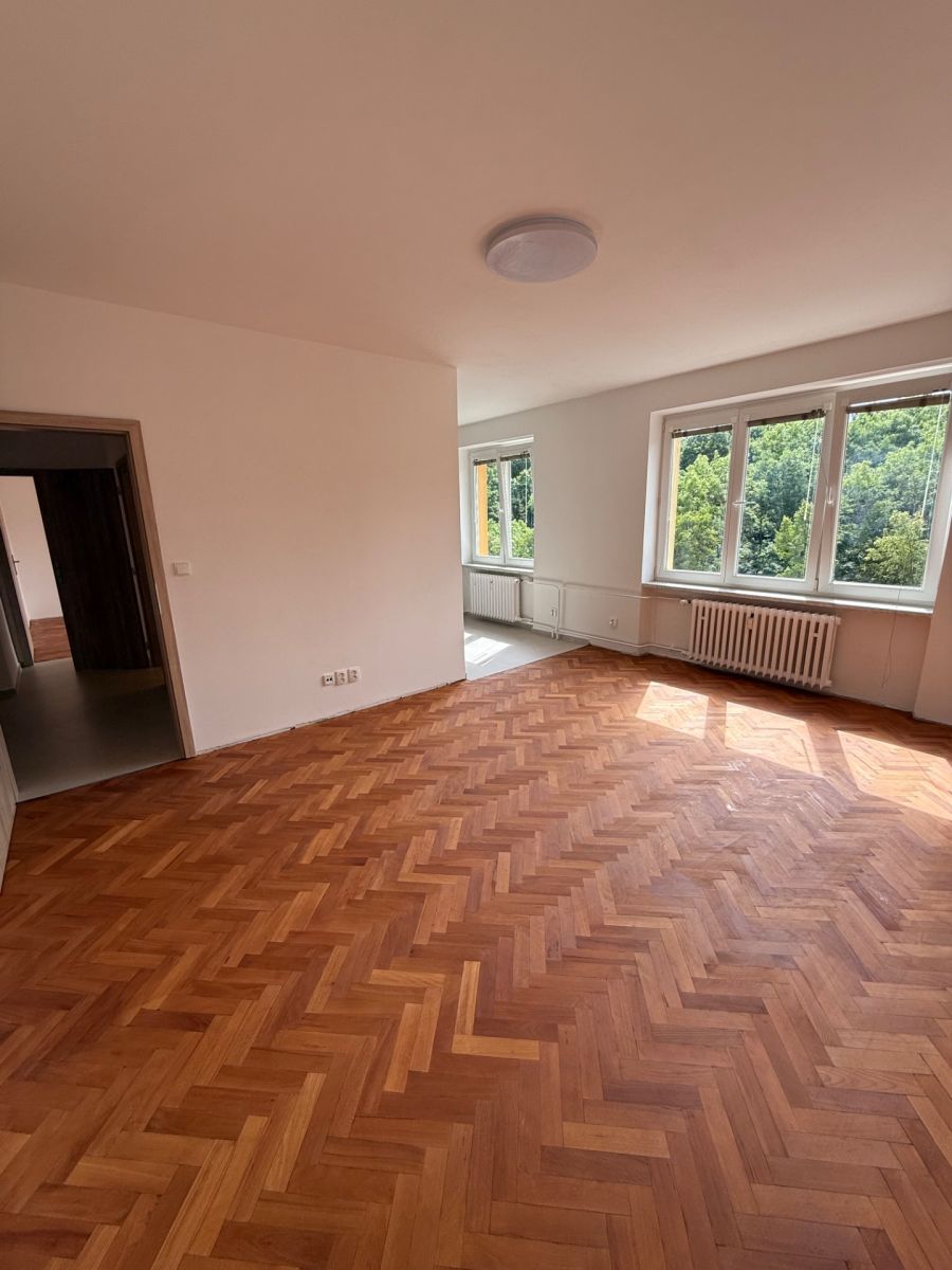 Pronájem bytu 2+kk 52 m², Brno – náhled fotky 4