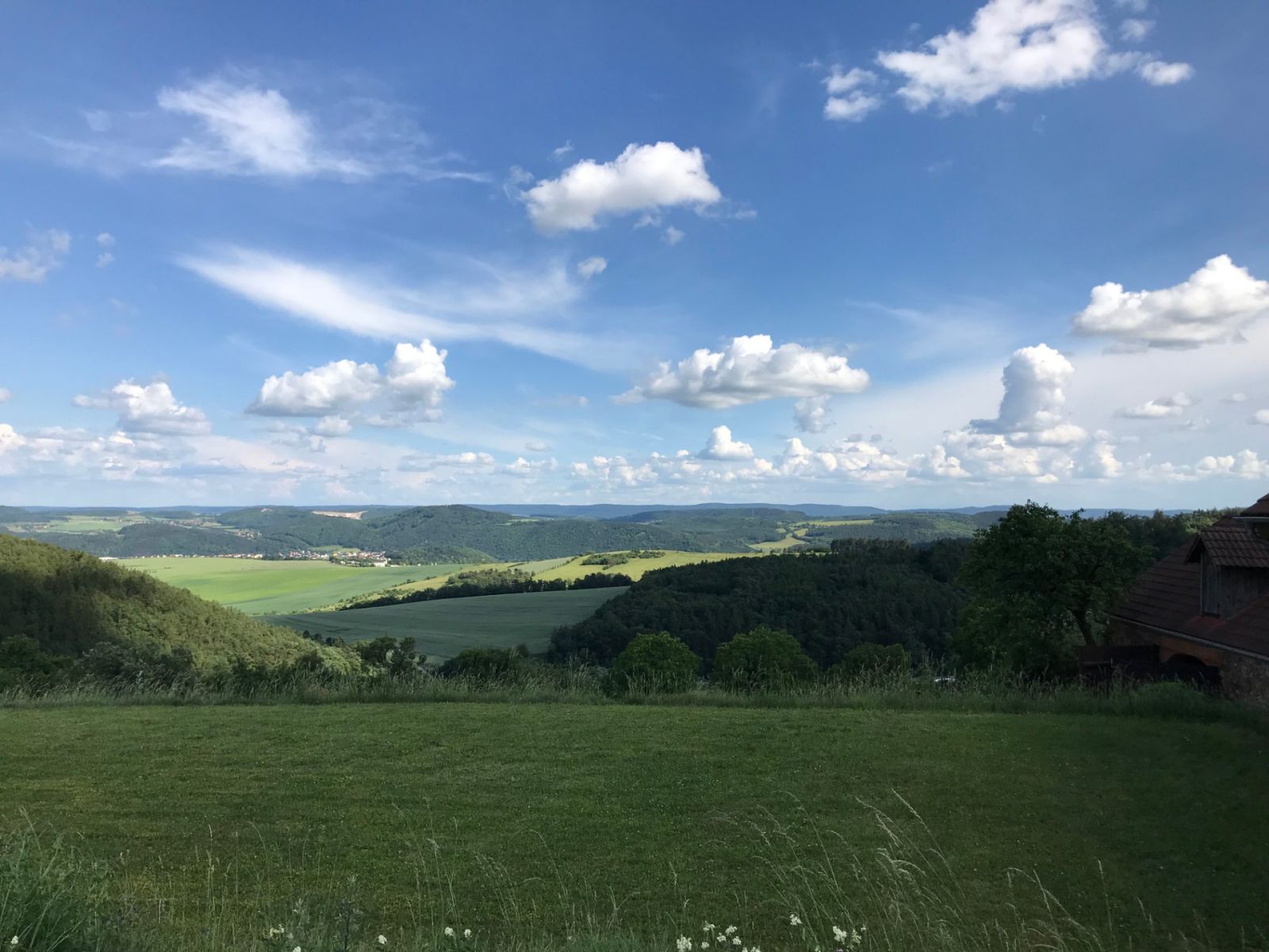 Prodej pozemku, Svatá – náhled fotky 5