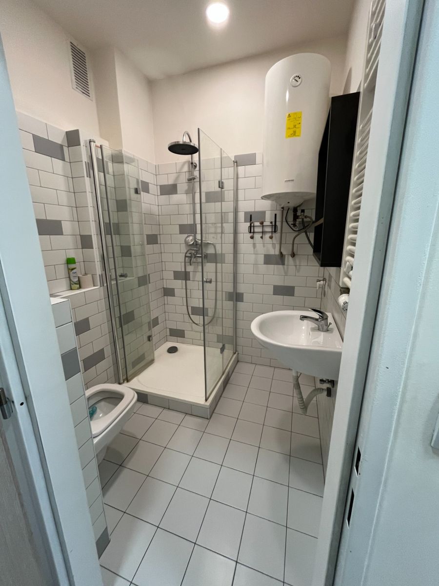 Pronájem bytu 1+1 35 m², Praha – náhled fotky 4