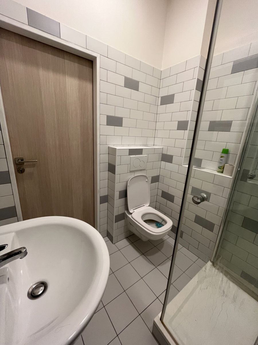Pronájem bytu 1+1 35 m², Praha – náhled fotky 5