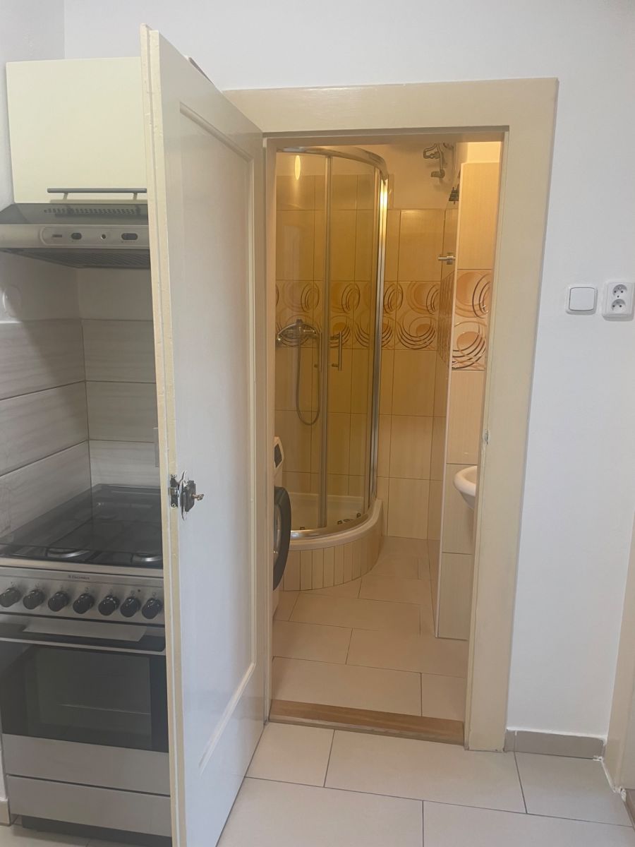Pronájem bytu 2+1 50 m², Praha – náhled fotky 4