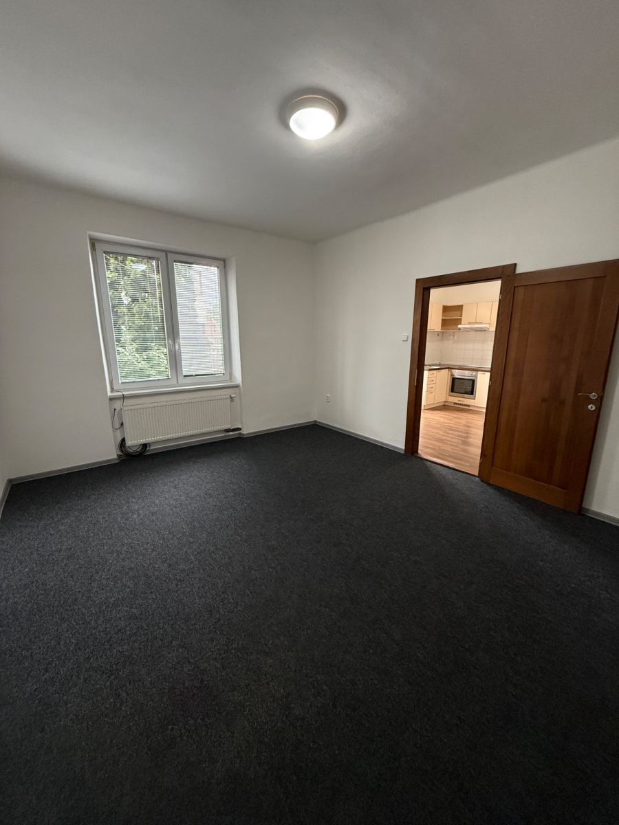 Pronájem bytu 1+1 45 m², Prostějov – náhled fotky 3