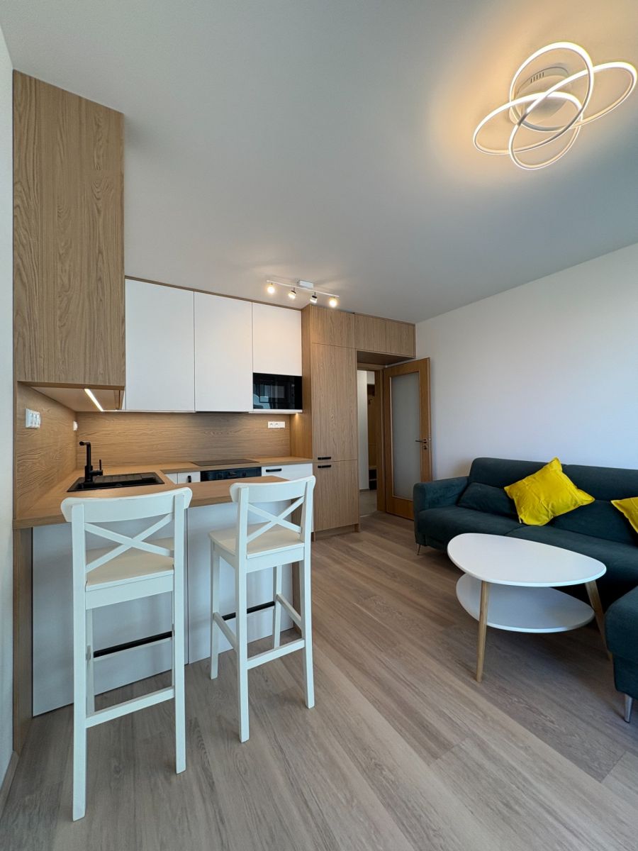 Pronájem bytu 2+kk 43 m², Praha – náhled fotky 2