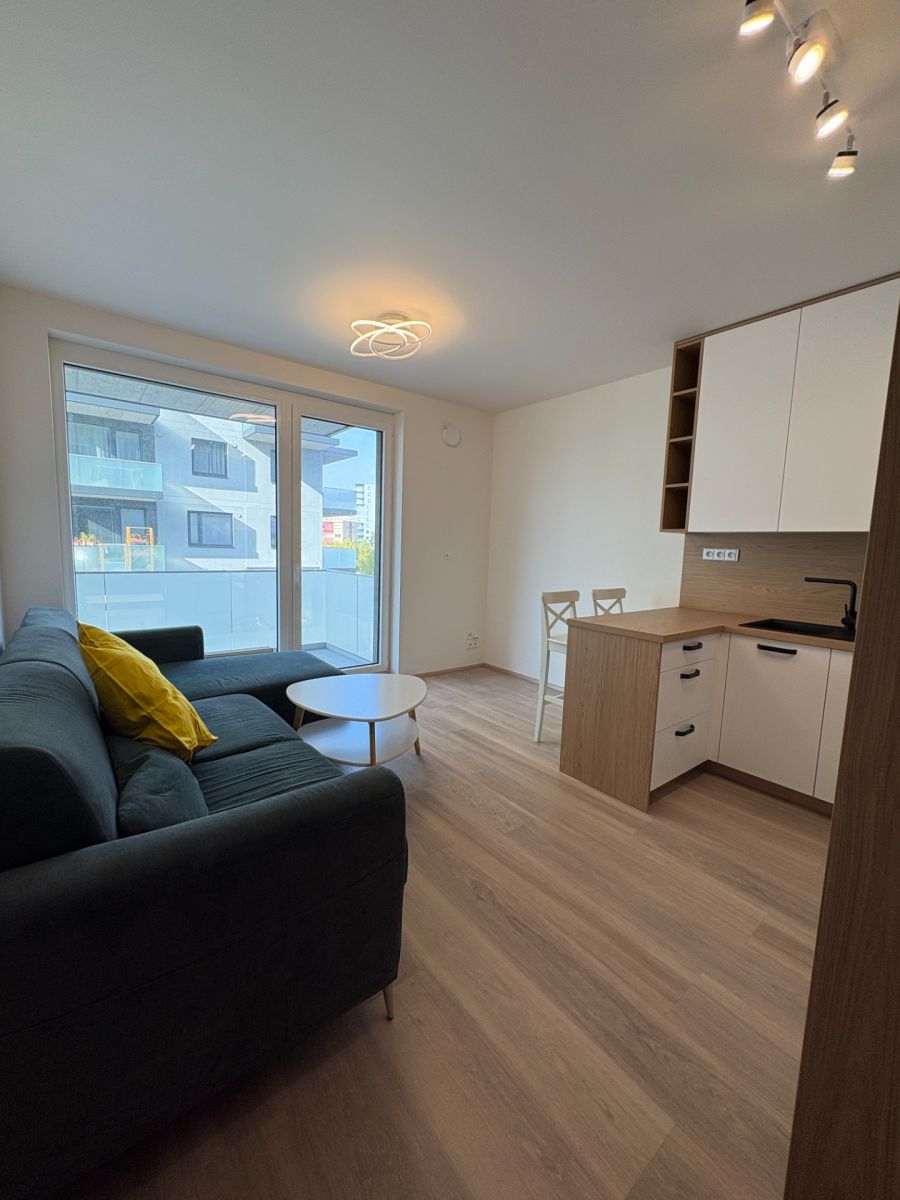 Pronájem bytu 2+kk 43 m², Praha – náhled fotky 4