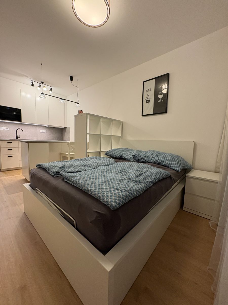 Pronájem bytu 1+kk 31 m², Plzeň – náhled fotky 3
