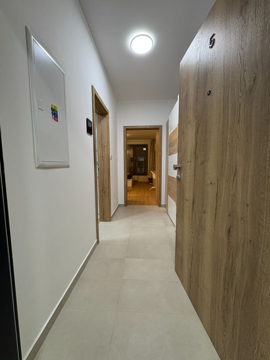 Pronájem bytu 1+kk 31 m², Plzeň – náhled fotky 10