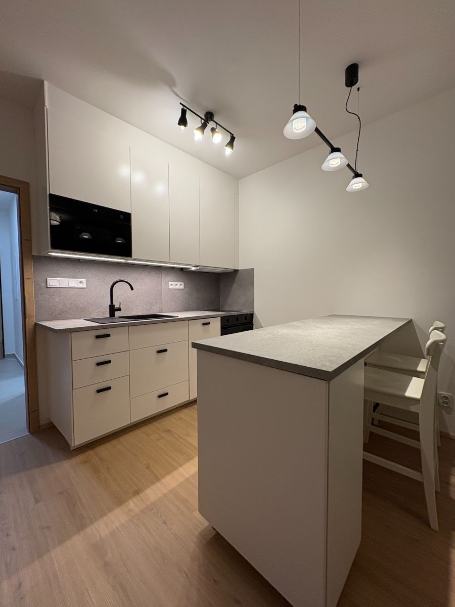 Pronájem bytu 1+kk 31 m², Plzeň – náhled fotky 5