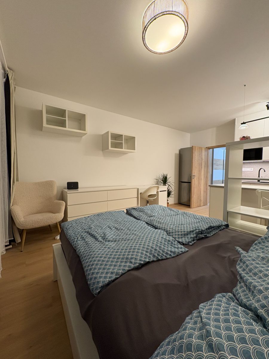 Pronájem bytu 1+kk 31 m², Plzeň – náhled fotky 4