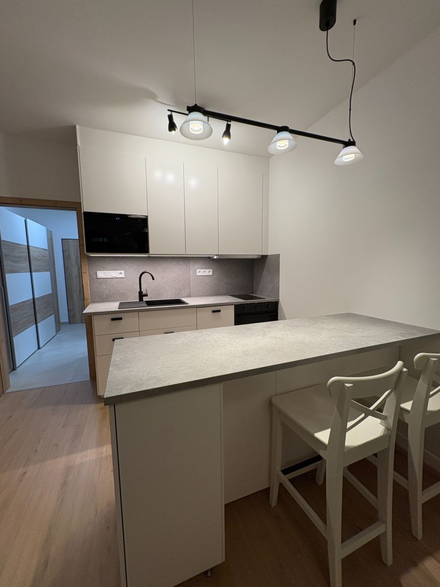 Pronájem bytu 1+kk 31 m², Plzeň – náhled fotky 2