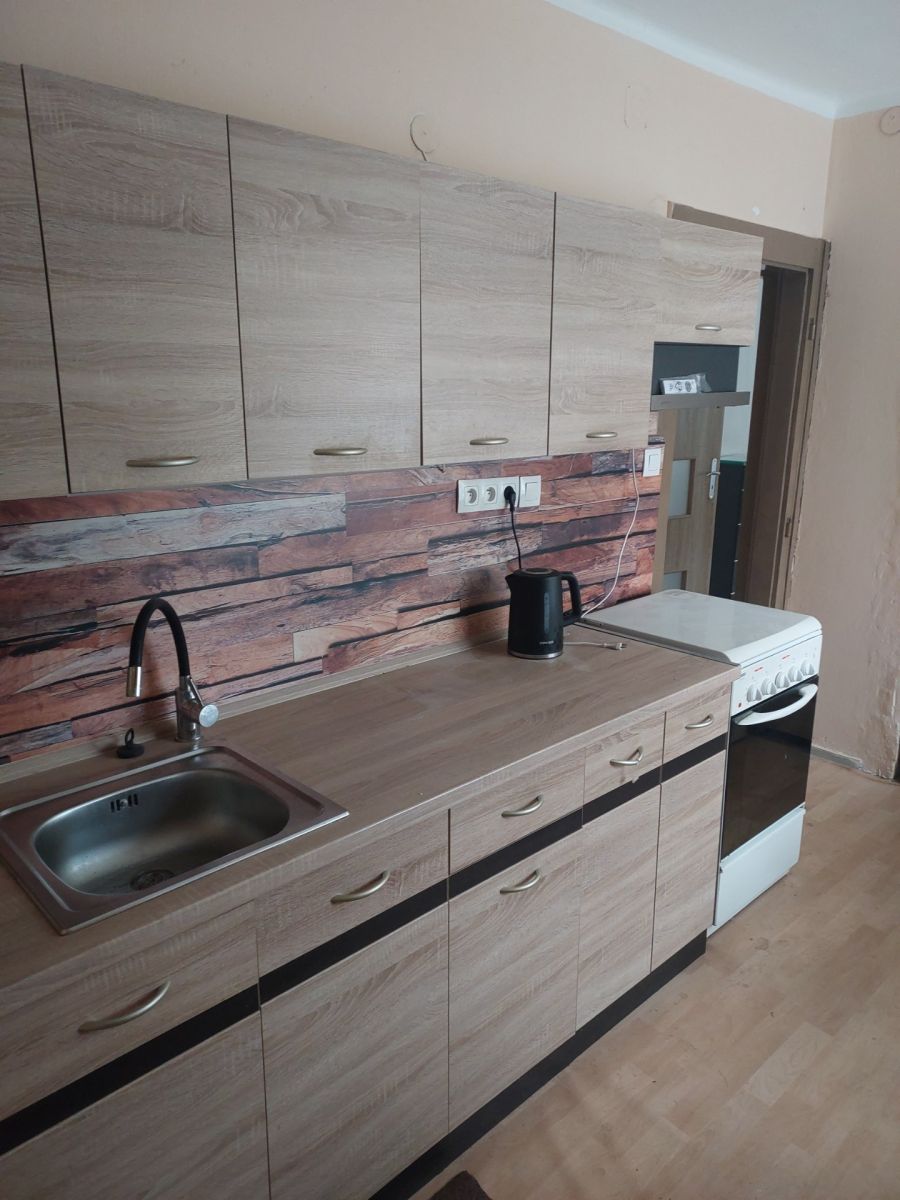 Pronájem bytu 2+1 65 m², Ostrov – náhled fotky 6