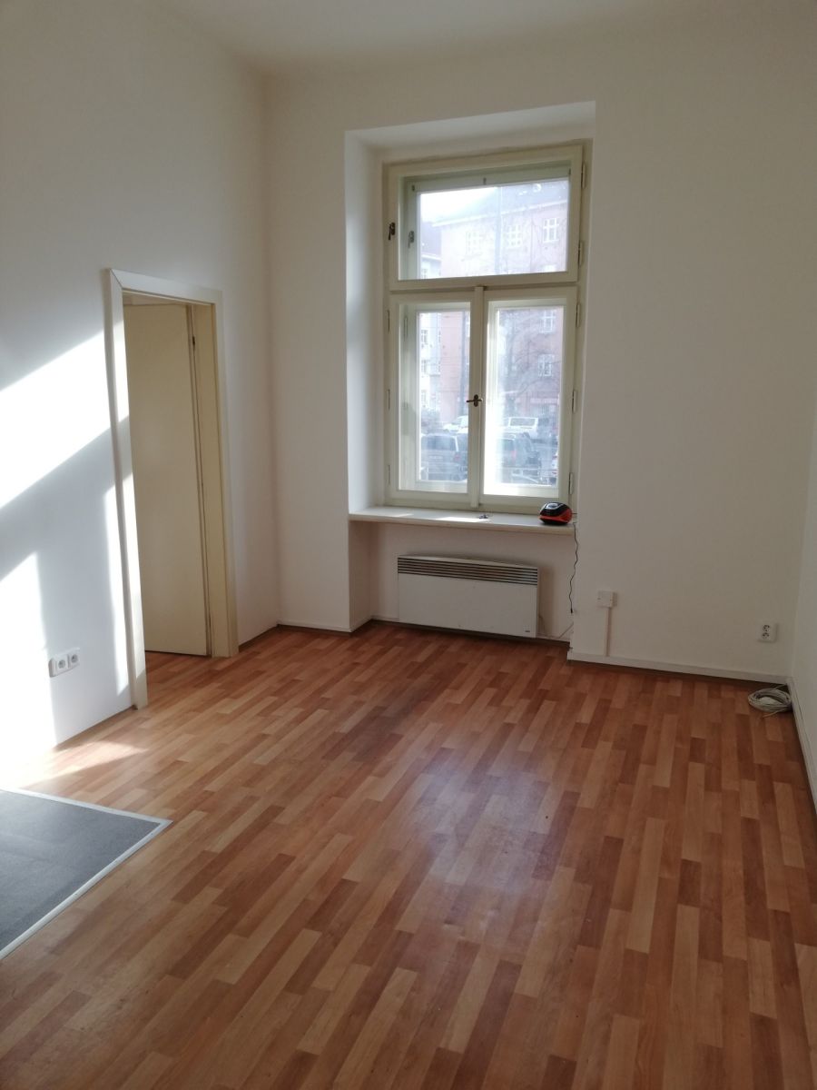Pronájem bytu 1+1 38 m², Praha – náhled fotky 2
