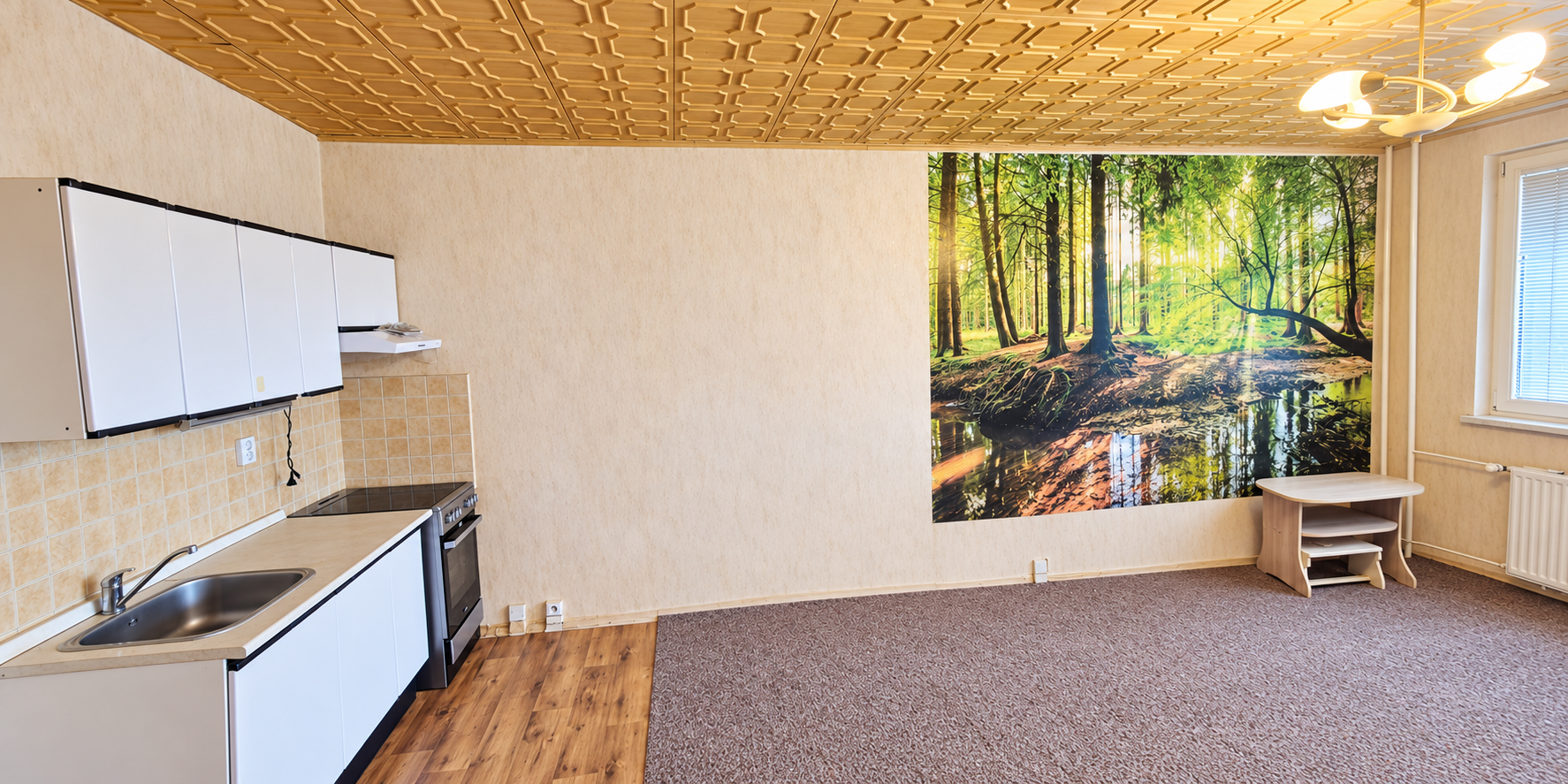 Prodej bytu 1+kk 34 m², Orlová – náhled fotky 3