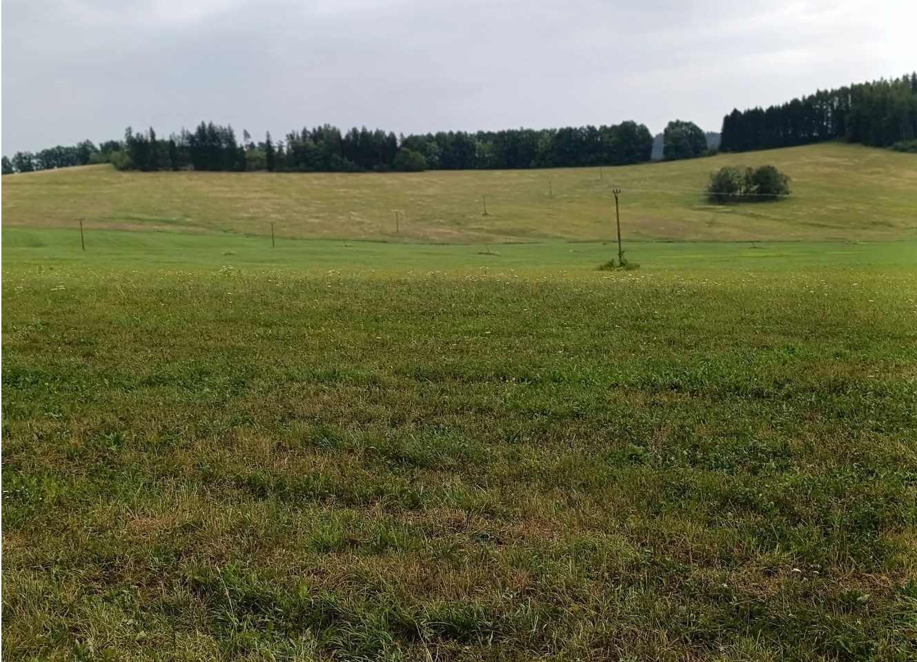 Prodej pozemku, Malšín – fotka 1 z 3