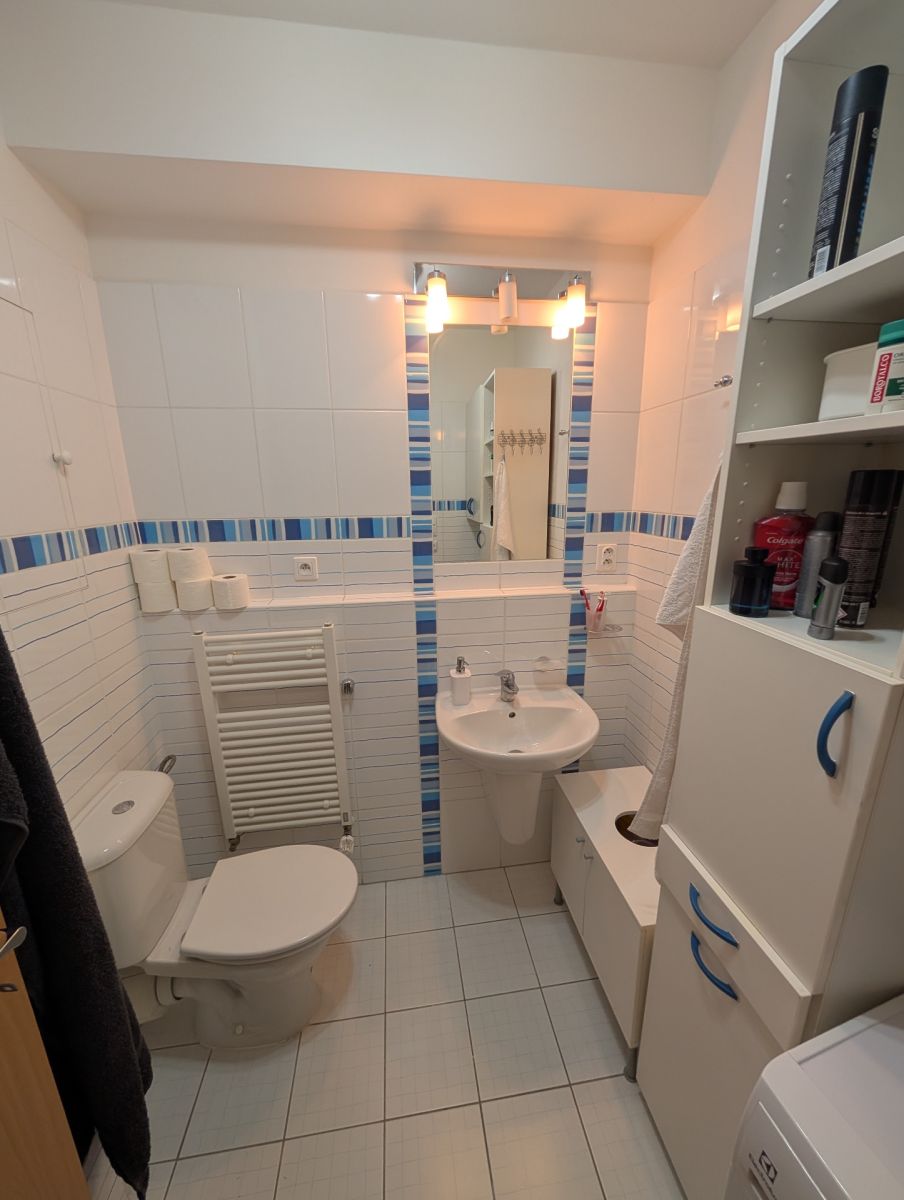 Pronájem bytu 1+kk 31 m², Praha – náhled fotky 5