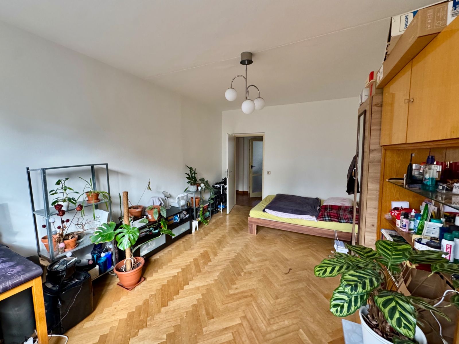 Prodej bytu 3+1 73 m², Brno – náhled fotky 5