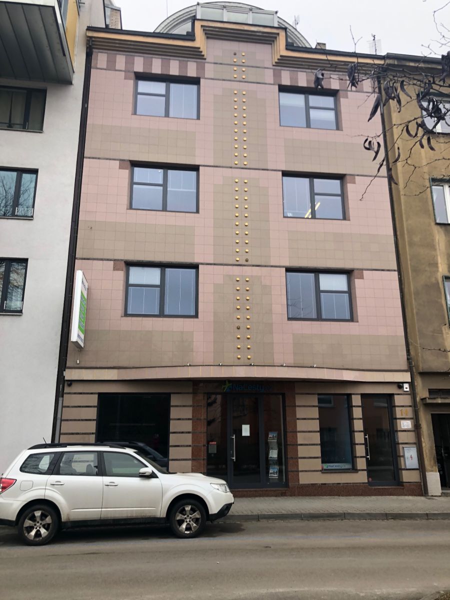 Pronájem bytu 1+kk 30 m², Plzeň – náhled fotky 10