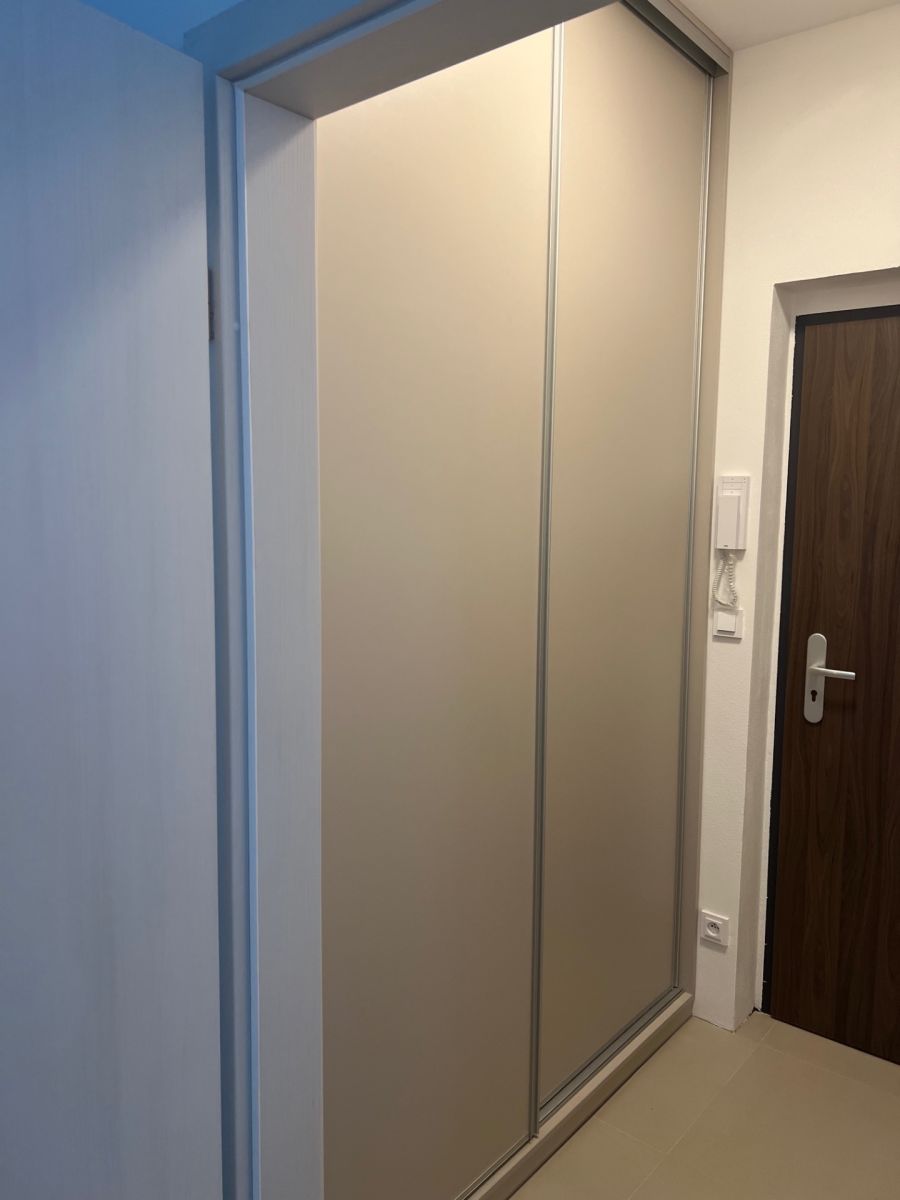 Pronájem bytu 1+kk 30 m², Plzeň – náhled fotky 5