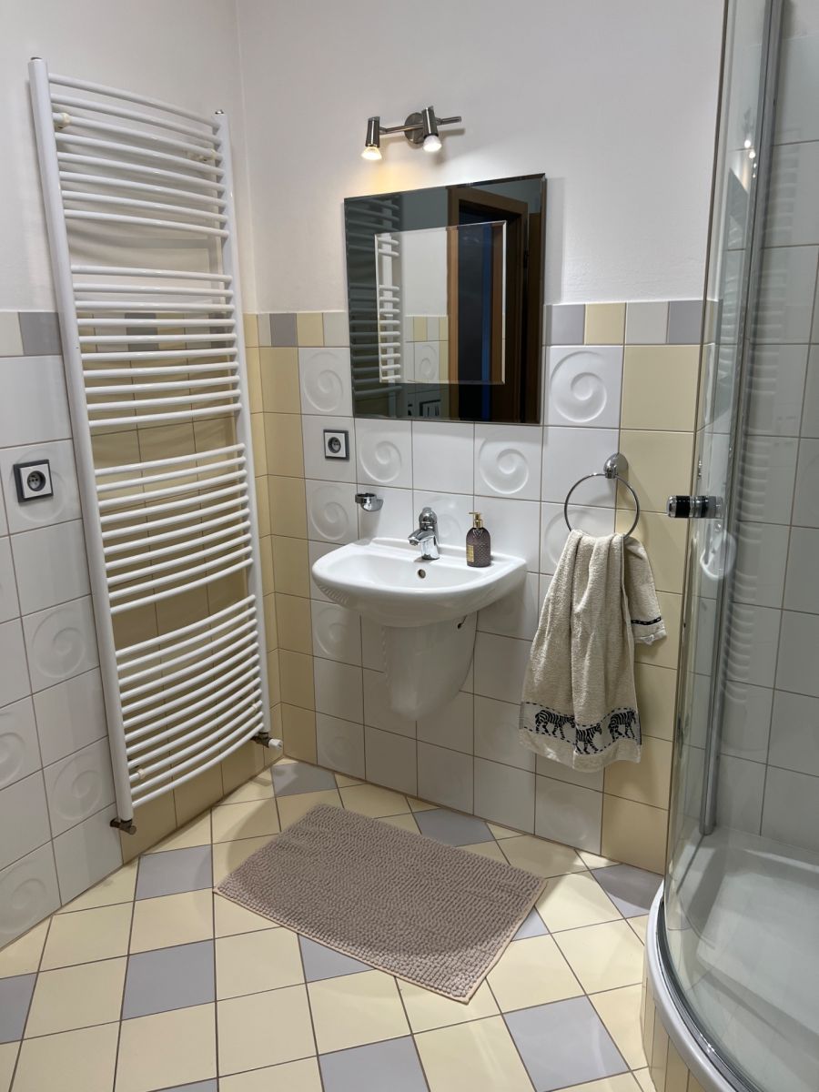 Pronájem bytu 3+kk 115 m², Brno – náhled fotky 7