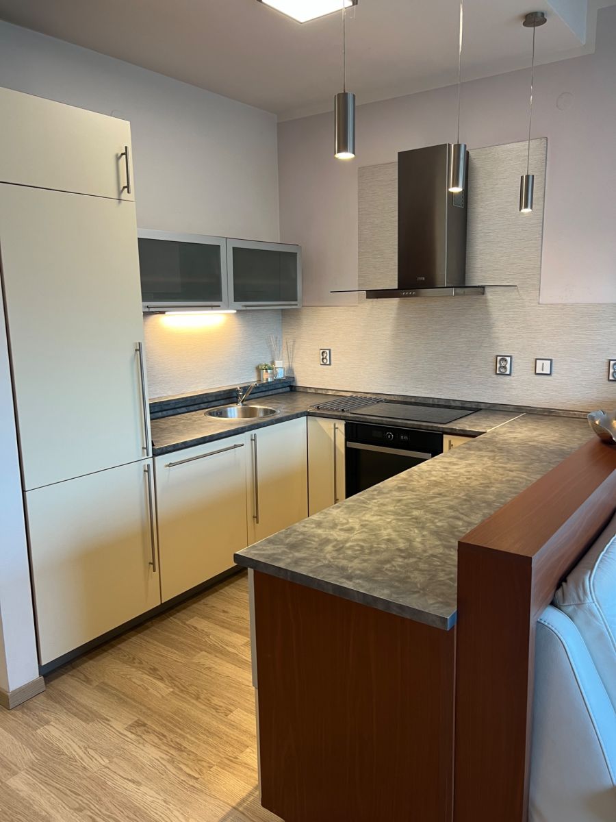 Pronájem bytu 3+kk 115 m², Brno – náhled fotky 2