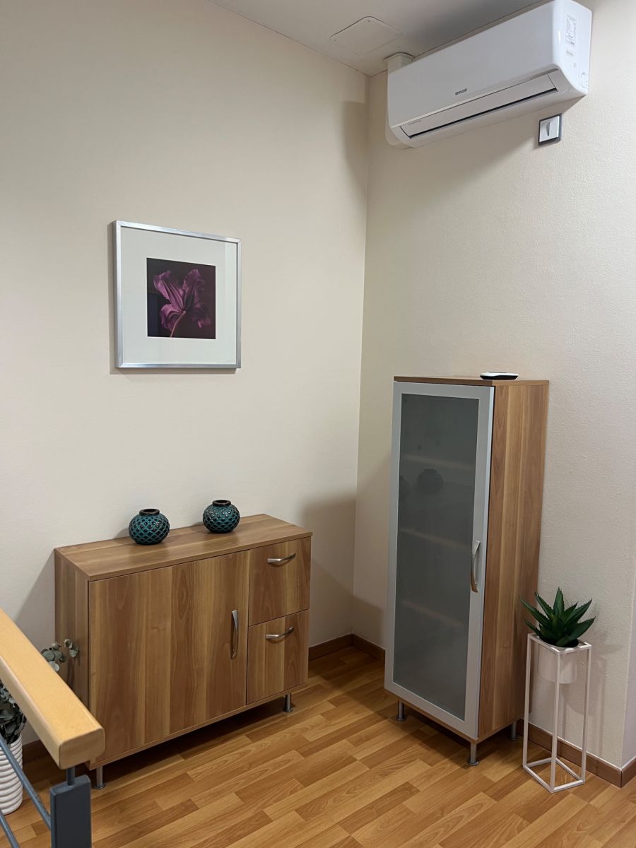 Pronájem bytu 3+kk 115 m², Brno – náhled fotky 10