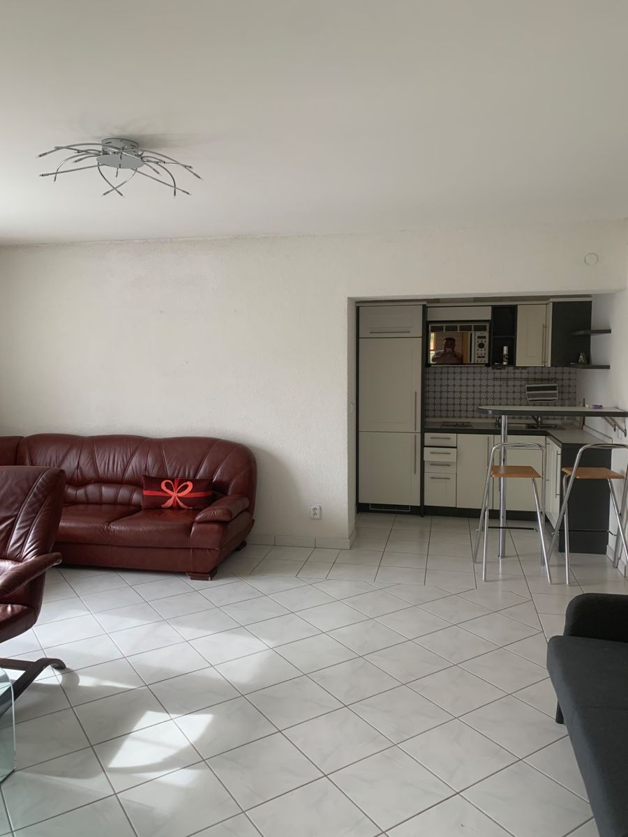 Prodej domu ostatni 600 m², Borač – náhled fotky 16
