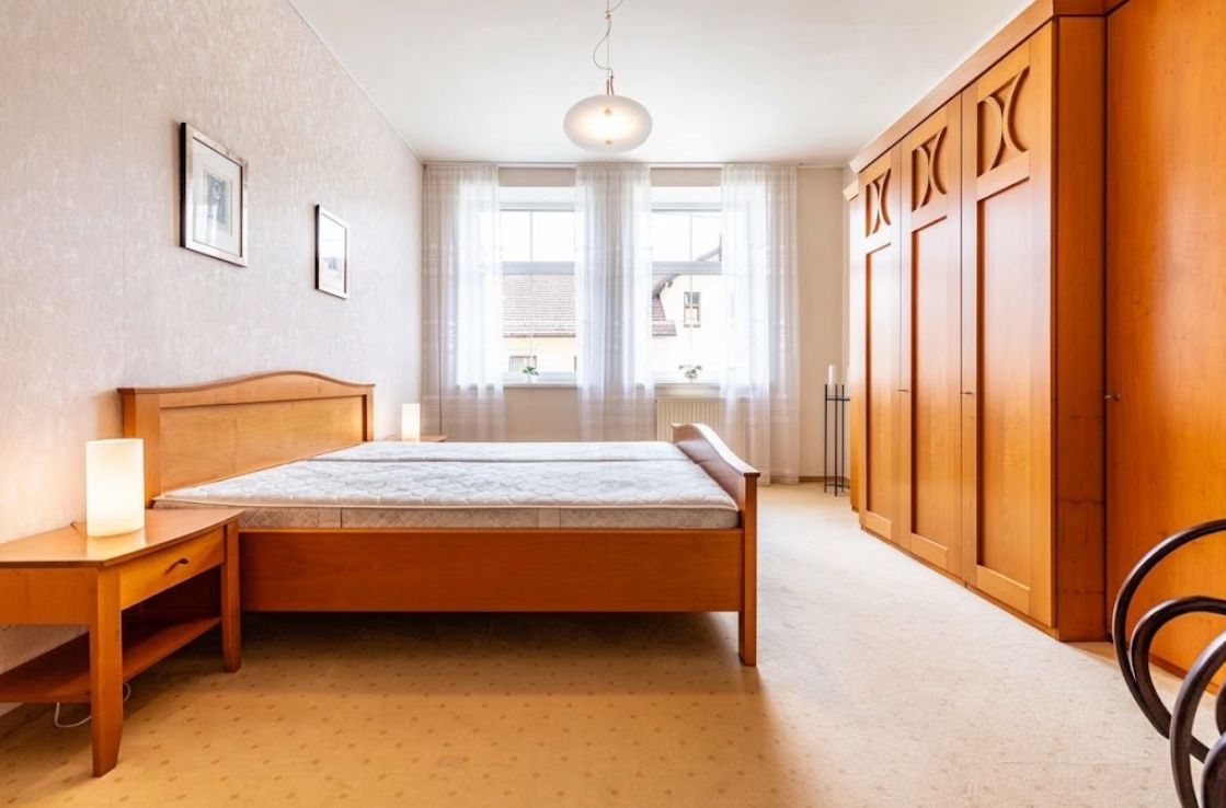 Prodej domu ostatni 600 m², Borač – náhled fotky 14