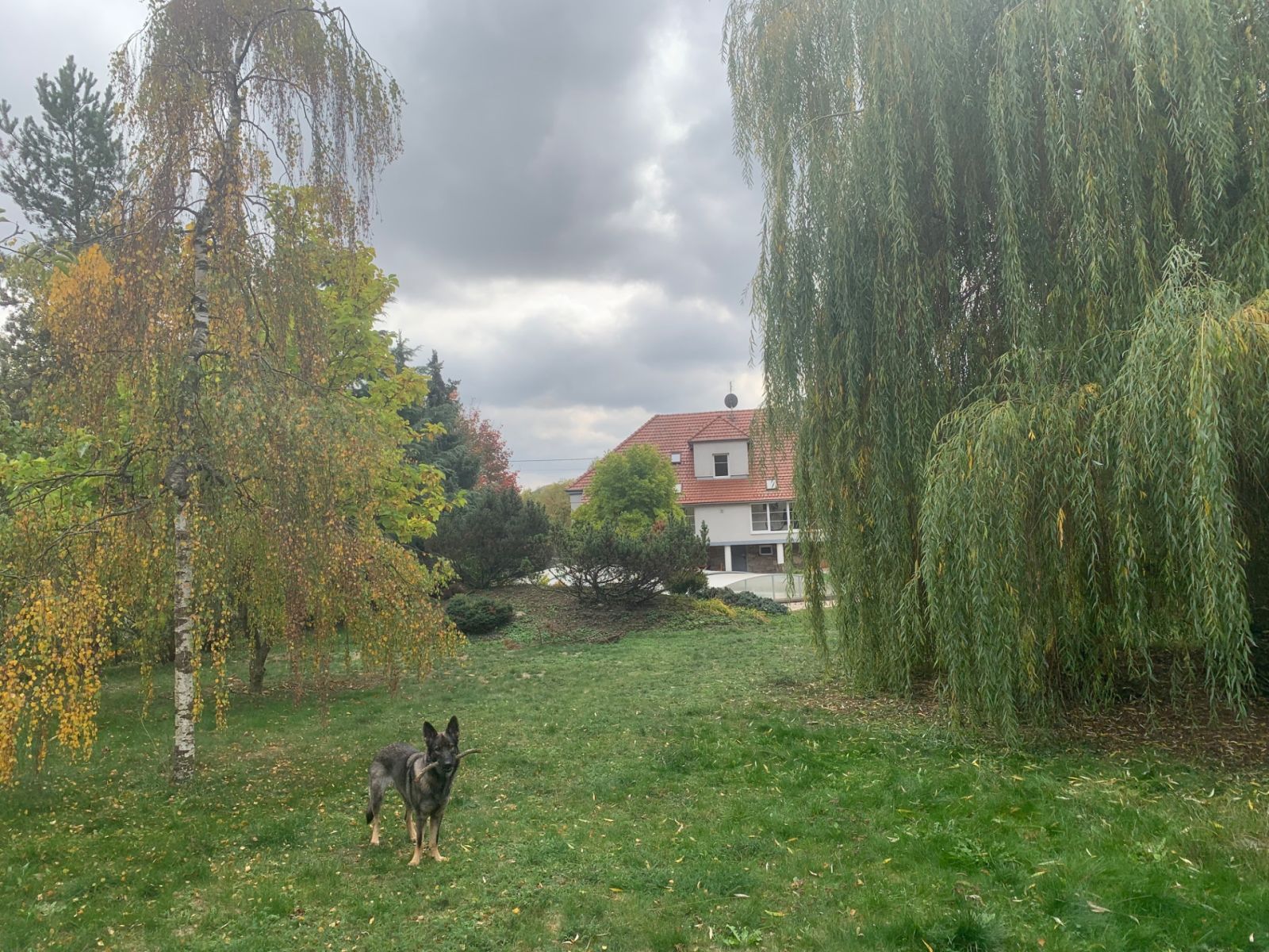 Prodej domu ostatni 600 m², Borač – náhled fotky 17
