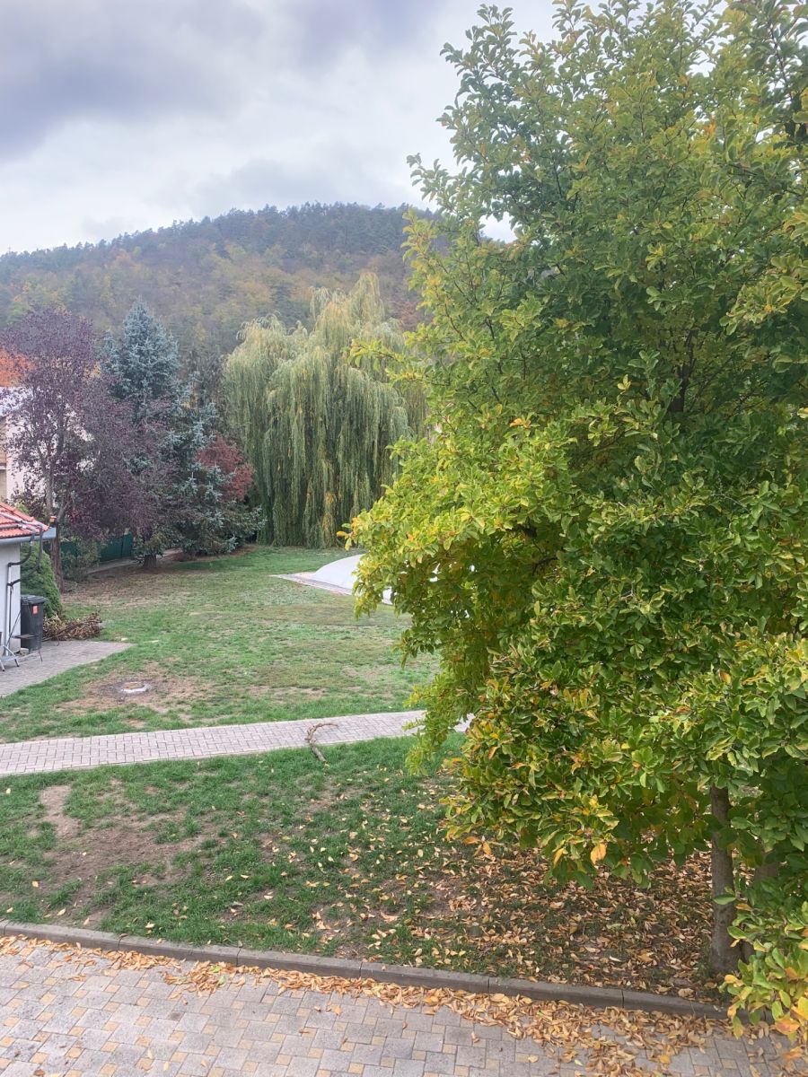 Prodej domu ostatni 600 m², Borač – náhled fotky 18