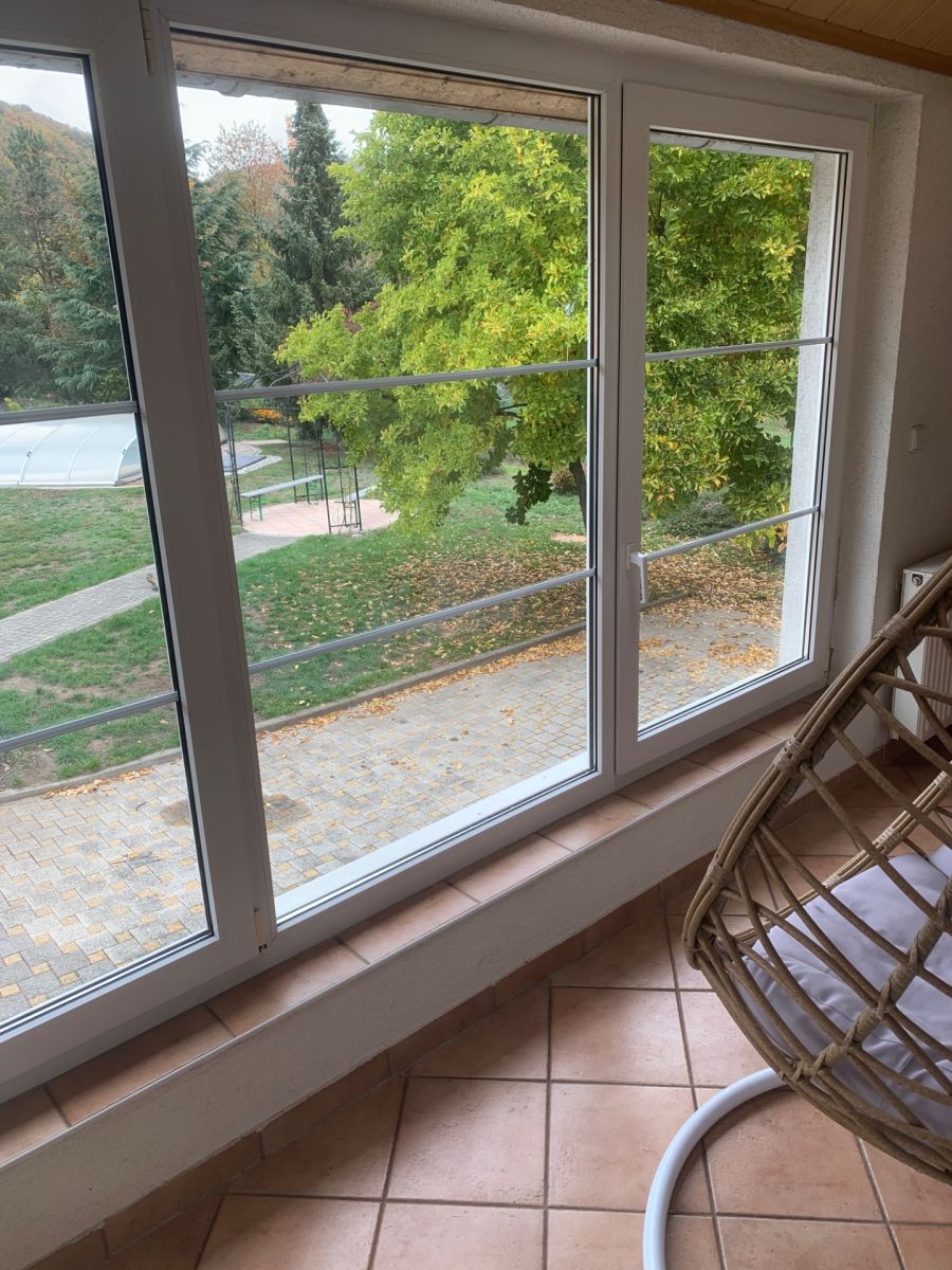 Prodej domu ostatni 600 m², Borač – náhled fotky 20