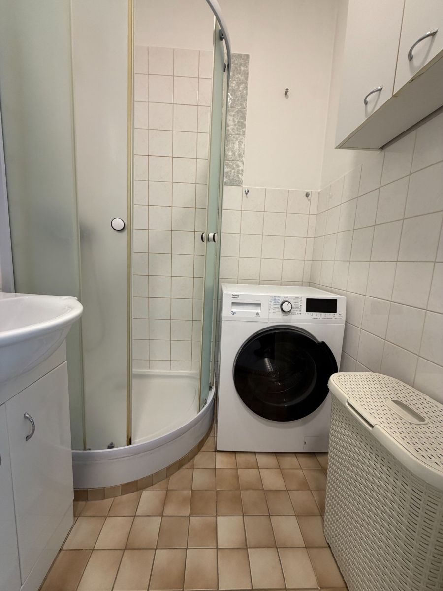 Pronájem bytu 1+1 36 m², Praha – náhled fotky 8