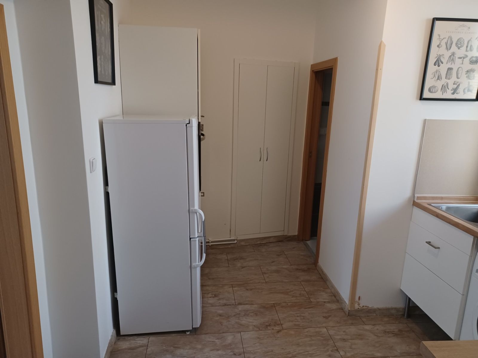 Pronájem bytu 1+1 39 m², Praha – náhled fotky 5