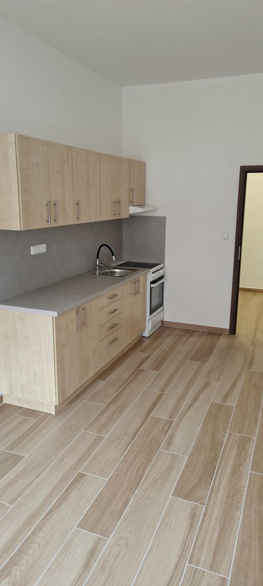 Pronájem bytu 1+1 49 m², Praha – náhled fotky 6