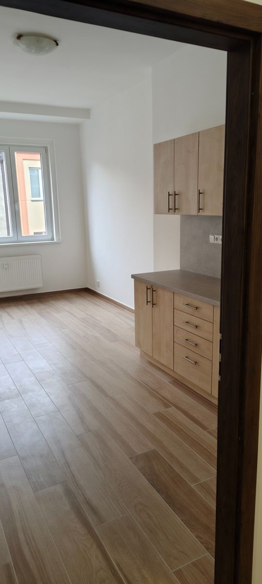 Pronájem bytu 1+1 49 m², Praha – náhled fotky 4