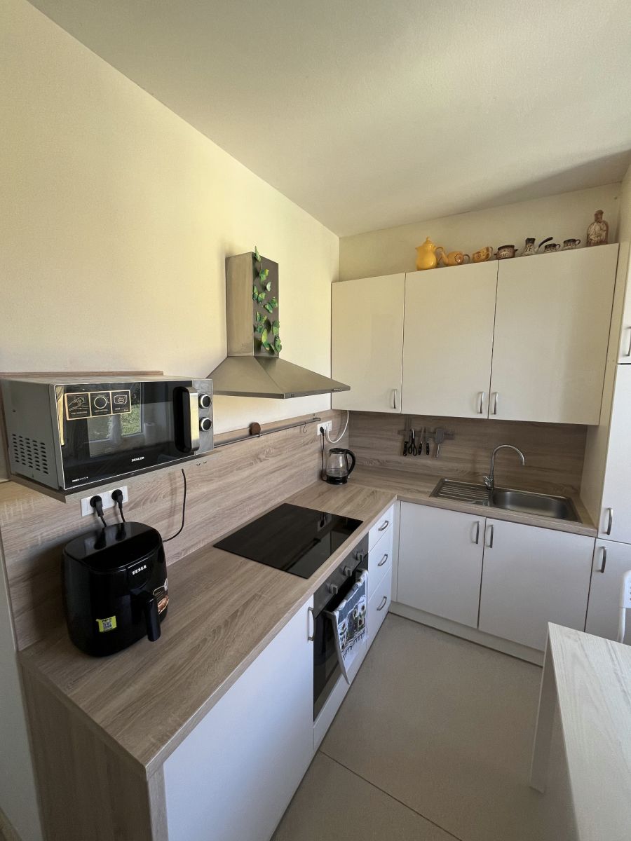 Pronájem bytu 2+1 51 m², Plzeň – náhled fotky 3