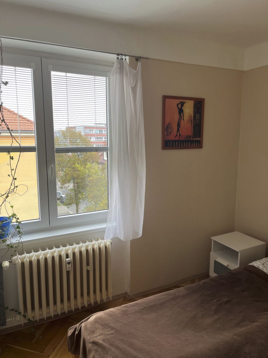 Pronájem bytu 2+1 51 m², Plzeň – náhled fotky 7