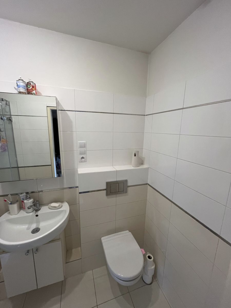 Pronájem bytu 2+1 51 m², Plzeň – náhled fotky 10